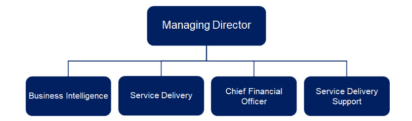 Leadership structure DHA leadership structure diagram